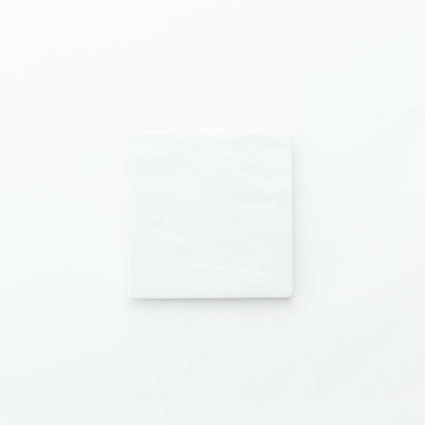 STANDARD COLOR スレート皿(小) 白磁