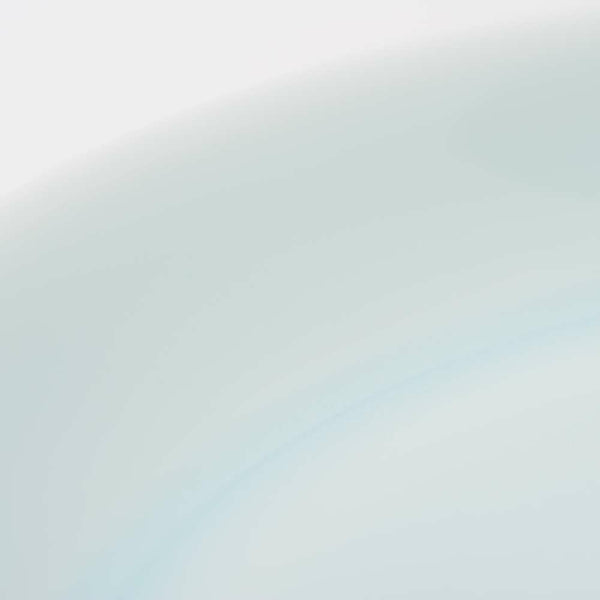 STANDARD COLOR パスタ皿(大) 青白磁