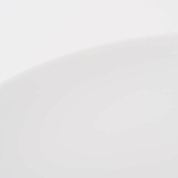 JAPAN SNOW 平皿(中) スノー