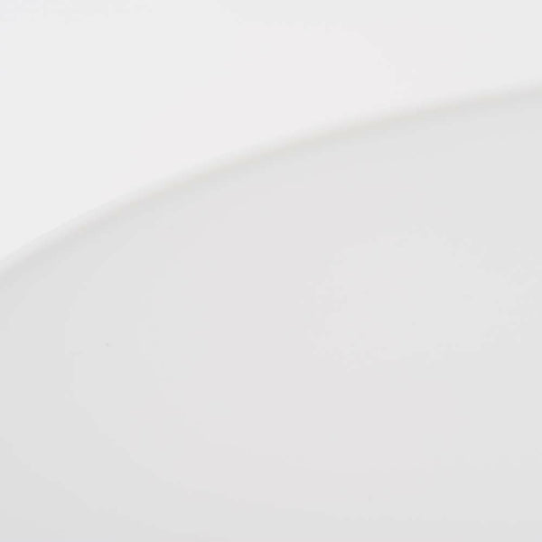 JAPAN SNOW 平皿(大) スノー 化粧箱入