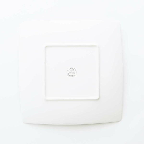 TIME MACHINE 正方皿(特大) ASTEROID