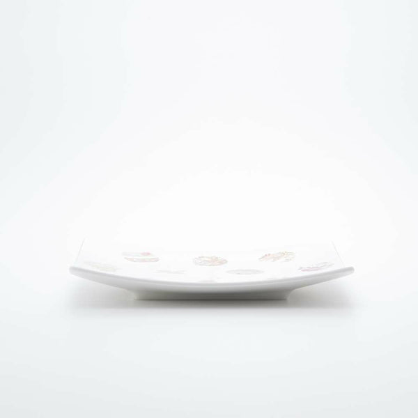 TIME MACHINE 正方皿(中) ASTEROID