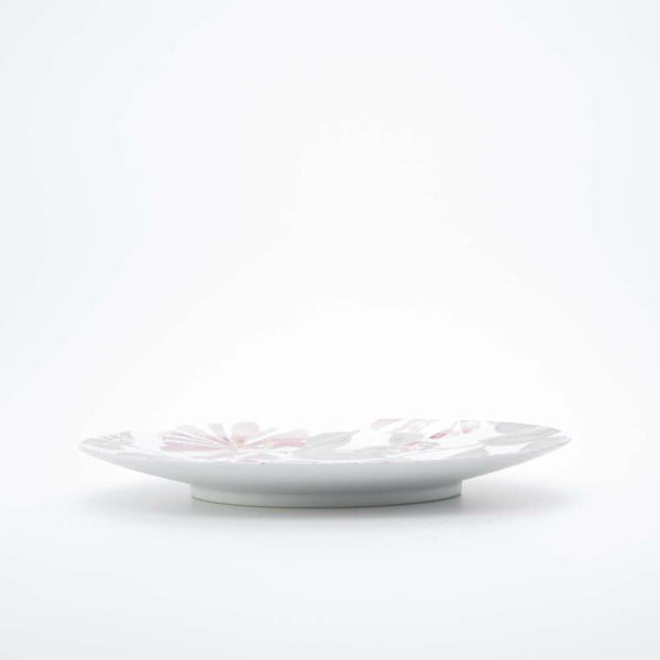 GALLERY フラットプレート M 山茶花 手書き 化粧箱入