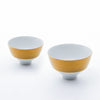 JAPAN AUTUMN 段付飯碗 ゴールド 2個セット 化粧箱入