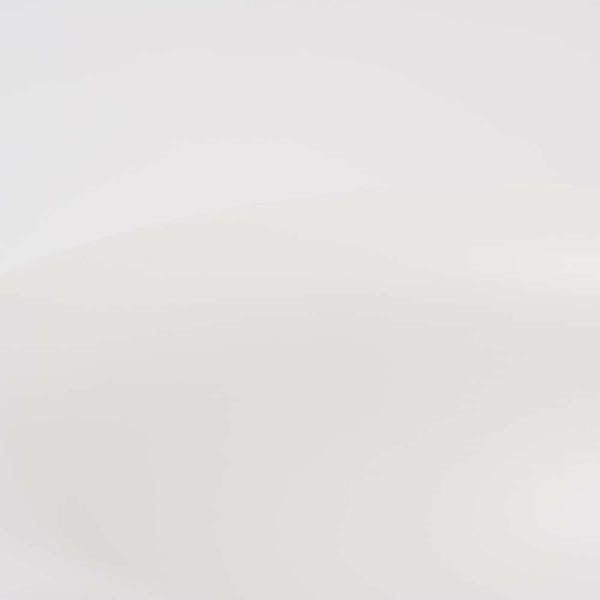 JAPAN SNOW 多用鉢 スノー