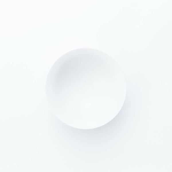 JAPAN SNOW 多用鉢 スノー