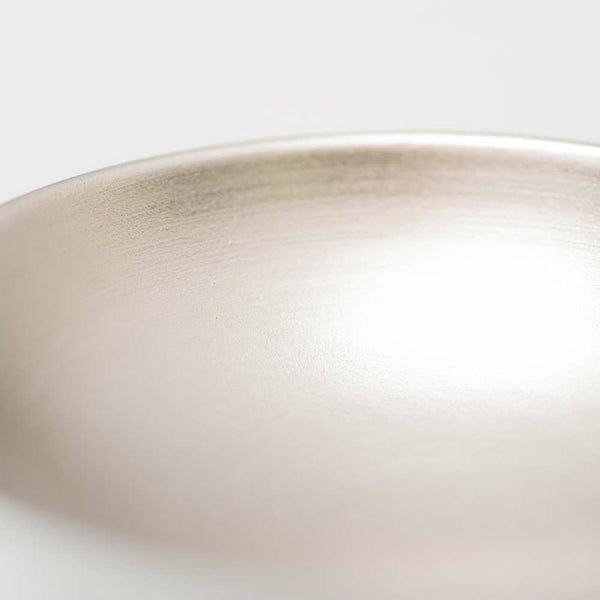 JAPAN SNOW 盃(小) プラチナ