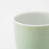 ！[60%OFF 陶器市SALE] JAPAN TEA アウトレット ペストルタンブラー パールグリーン 2個セット
