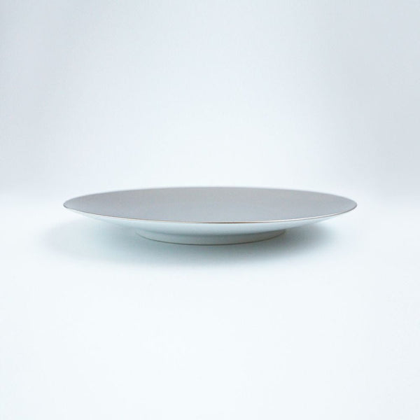 ！[50%OFF新春初売りSALE] JAPAN SNOW アウトレット フラットプレート М プラチナ 2個セット